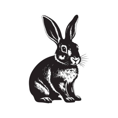 Bunny, klasik logo çizgisi sanat konsepti siyah-beyaz renk, el çizimi illüstrasyon