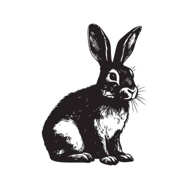 Bunny, klasik logo çizgisi sanat konsepti siyah-beyaz renk, el çizimi illüstrasyon