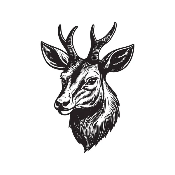 Waterbuck Vintage Logo Linii Koncepcji Sztuki Czarno Biały Kolor Ręcznie — Wektor stockowy