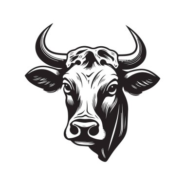inek kafası, klasik logo çizgisi sanat konsepti siyah-beyaz renk, el çizimi illüstrasyon