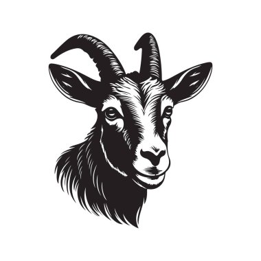 Keçi, klasik logo çizgisi sanat konsepti siyah beyaz renk, el çizimi illüstrasyon