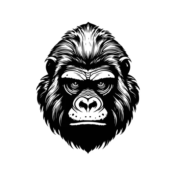 Gorila Hlava Vintage Logo Linie Umění Koncept Černá Bílá Barva — Stockový vektor