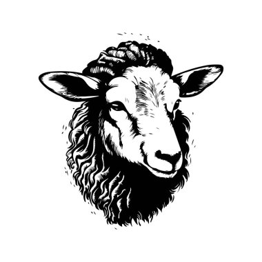 kuzu, klasik logo çizgisi sanat konsepti siyah beyaz renk, el çizimi illüstrasyon