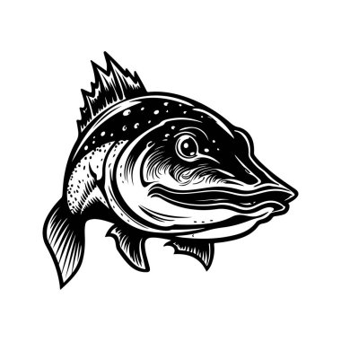 Piriba yayın balığı, klasik logo çizgisi sanat konsepti siyah beyaz renk, el çizimi illüstrasyon