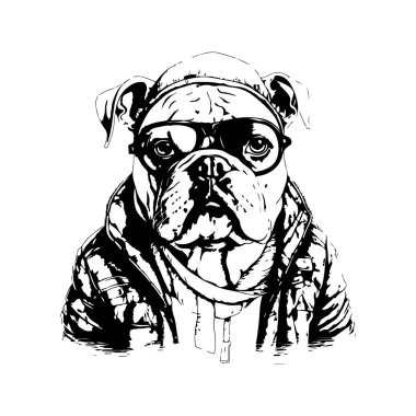 Buldog kazak giymiş, klasik logo çizgisi sanat konsepti siyah beyaz, el çizimi illüstrasyon
