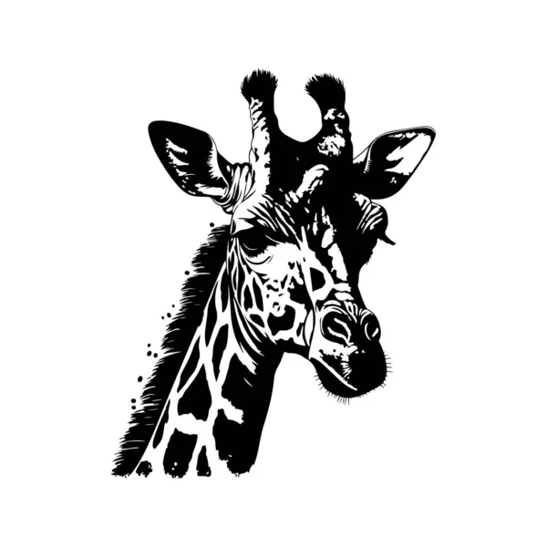 Girafe Vintage Logo Ligne Art Concept Noir Blanc Couleur Illustration — Image vectorielle