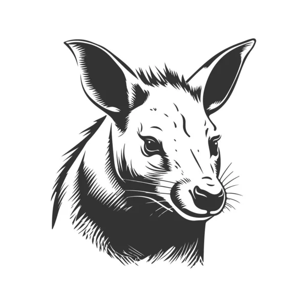 Aardvark Vintage Logo Lijn Kunst Concept Zwart Wit Kleur Met — Stockvector