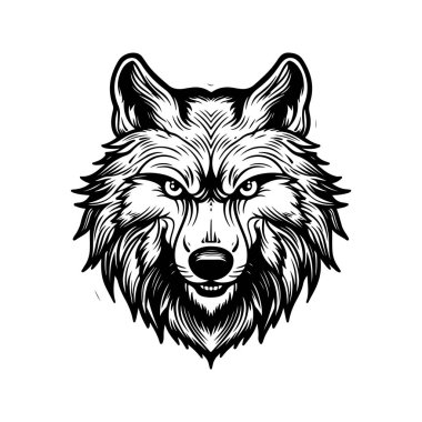 Kurt, klasik el yapımı illüstrasyon.