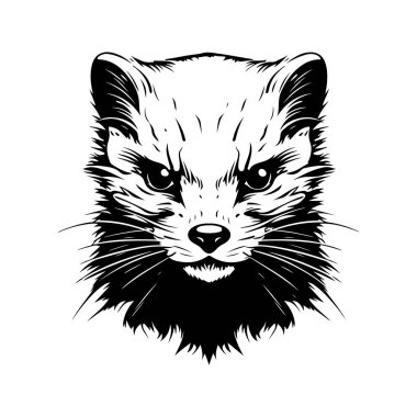 Kızgın ermin, klasik el yapımı illüstrasyon