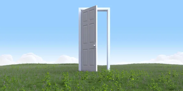 Ανοίξτε Λευκή Πόρτα Στο Καλοκαιρινό Τοπίο Πράσινο Γρασίδι Αφηρημένη Υπερρεαλιστική — Φωτογραφία Αρχείου