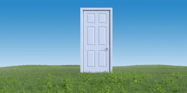 Κλειστή Λευκή Πόρτα Στο Καλοκαιρινό Τοπίο Πράσινο Γρασίδι Αφηρημένη Υπερρεαλιστική — Φωτογραφία Αρχείου
