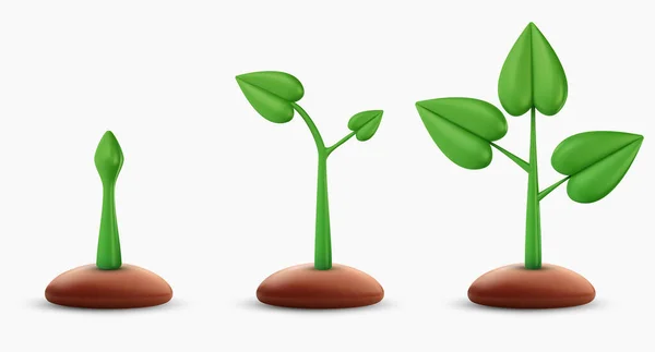 Установить Капусту Маленькое Зеленое Растение Земле Элемент Дизайна Мультфильма Минимальном — стоковый вектор