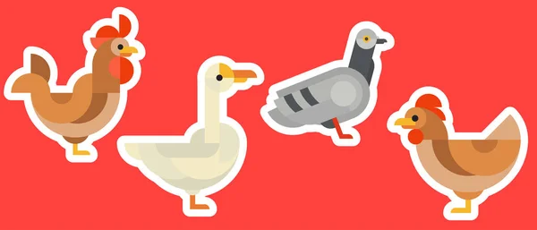 Poulet Coq Oie Pigeon Set Lumineux Autocollant Géométrique Patch Insigne — Image vectorielle