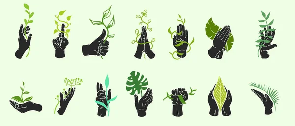 Set Silhouettes Mains Avec Des Plantes Des Feuilles Dans Style — Image vectorielle