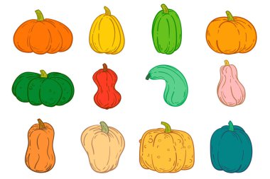 Vektör renkli balkabaklarını çizgi film düz stiliyle farklı şekilde ayarladı. Pankart, simge ve markalaşma için koleksiyon tasarımı. Sevimli basit konsept sanat. Sağlıklı gıda veya tarım bitkisi çizimi.