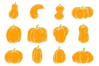 Vektör, turuncu balkabaklarını düz çizgi film şeklinde farklı bir şekle soktu. Pankart, simge ve markalaşma için koleksiyon tasarımı. Sevimli basit konsept sanat. Sağlıklı gıda veya tarım bitkisi çizimi.