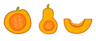 Çizgi filmdeki el ya da balkabağı resmi düz karalama tarzında çizilmiş. Tatil için dekorasyon ya da tasarım öğesi, sağlıklı gıda, çiftlik bitkisi. Çizim vektör illüstrasyonu.