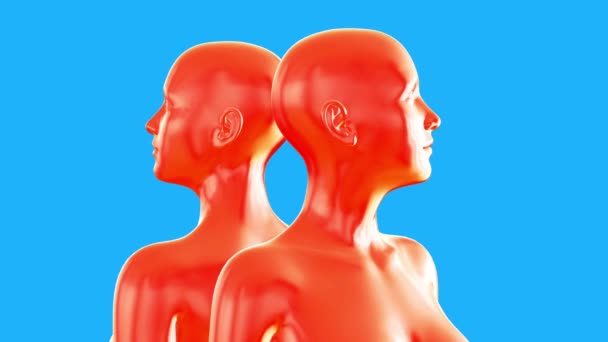 抽象的な反射 黒い背景に2つの金属の女性の体 モダンファッション3Dアニメーション 技術デジタルコンセプト クリエイティブな未来的なモーションアート — ストック動画
