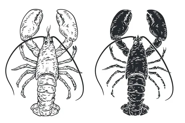 Hand Drawn Silhouette Monochrome Lobster Isolated White Background Sea Animals Royalty Free Stock Vectors