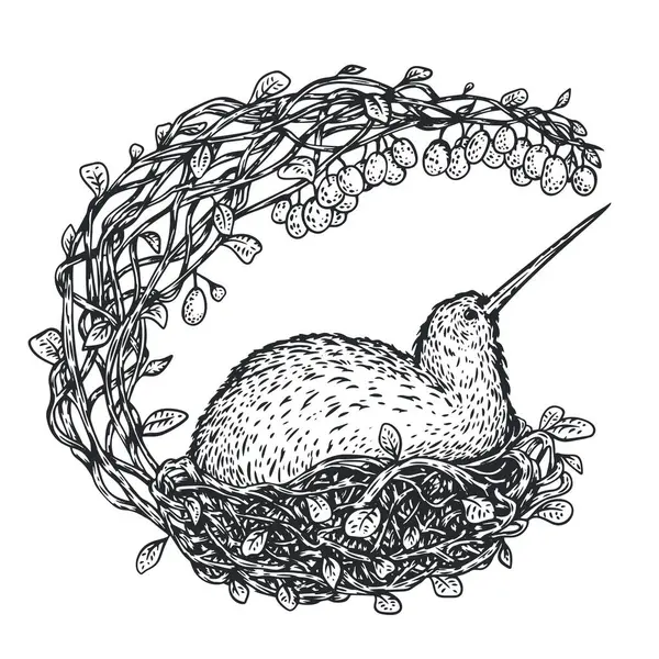 Pasăre Kiwi Cuib Kiwi Plante Stilul Desenat Manual Monocrom Caracterul — Vector de stoc