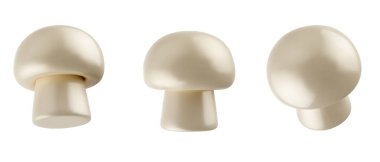 Beyaz arka planda izole edilmiş 3 boyutlu gerçekçi ham şampiyon mantarı seti. Taze mantar çeşitli görünümlü bitkiler. Vektör illüstrasyonu.