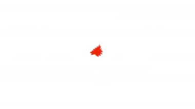 Çeşitli çizgi filmlerdeki havai fişek gösterileri ya da şenlikli selamlar. Kutlama, olay, film ve oyunlar için parlak 2D etkisi.