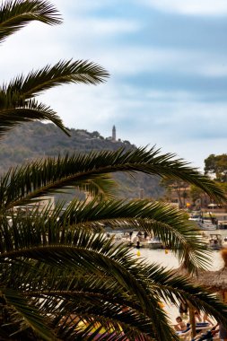 Ön planda palmiye yaprakları, arka planda deniz feneri ve deniz feneri var.