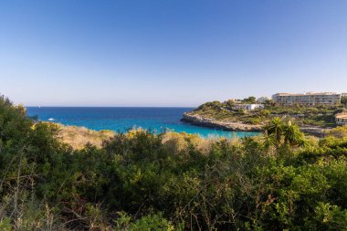 Güneşli bir günde ön planda ağaçlar olan bir körfezin geniş manzarası.
