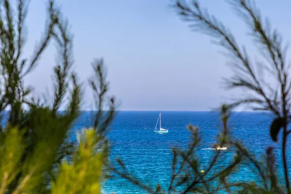 Barco Vela Branco Azul Mar Dia Ensolarado Emoldurado Por Pinheiros — Fotografia de Stock