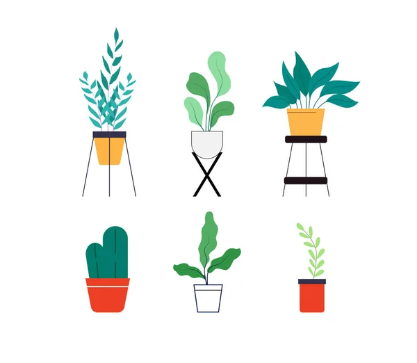 室内花卉和植物收藏 家庭植物矢量现代平面插图 — 图库矢量图片