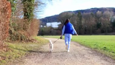 Mavi elbiseli genç bir kız beyaz bir köpekle tarlada koşuyor. Dağın arka planında yüksek kaliteli 4K görüntüler var.