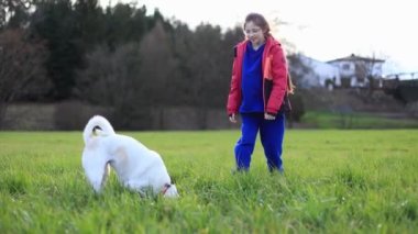 Renkli elbiseli küçük bir kız doğada beyaz itaatsiz bir köpeğe sesleniyor. Yüksek kalite 4k görüntü