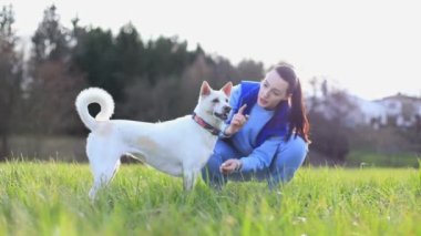 Mavi elbiseli genç bir kız yeşil çimlerde beyaz bir köpeği azarlıyor. Asi köpek. Yüksek kalite 4k görüntü