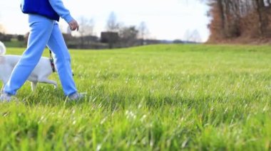 Mavi takım elbiseli bir kız yeşil çimlerde güzel beyaz bir köpekle yürüyor. Soldan sağa 4k 'lık yüksek kalite görüntü