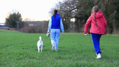 Mavi elbiseli genç bir kız bir köpekle yürüyor. Renkli elbiseli küçük bir kız onlara yetişiyor. Yüksek kalite 4k görüntü