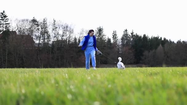 Genç Kız Yeşil Alanda Beyaz Bir Köpekle Koşuyor Yüksek Kalite — Stok video