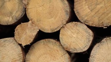 Arka planlar için yakın plan ahşap tahıl. Yüksek kalite 4k görüntü