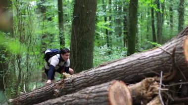 Genç adam ormanda devrilmiş ağaçlara tırmanıyor. Ormanda zorlu bir yürüyüş. Yüksek kalite 4k görüntü