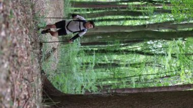 Dikey çekim adamı ormanda dağa tırmanıyor. Adam yaz ormanlarında yürüyor. Yüksek kalite 4k görüntü