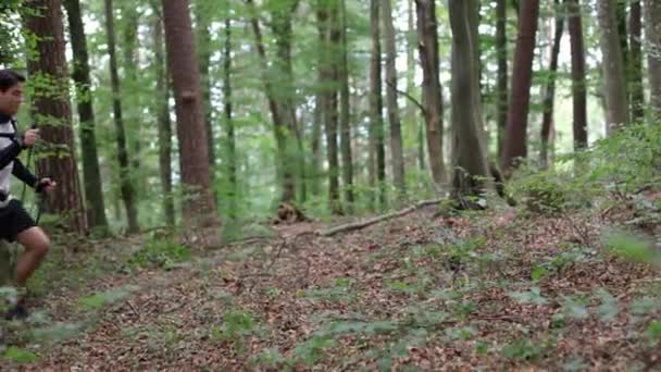 Молодий Хлопець Рюкзаком Палицями Гуляє Літній Ліс Лісі Вид Збоку — стокове відео