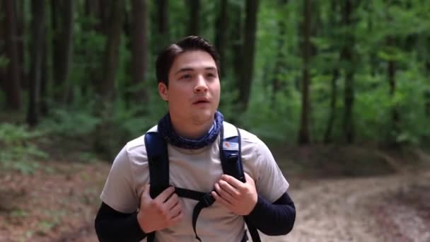 Chico Asiático Camina Través Del Bosque Sostiene Backpack Hike Bosque — Vídeos de Stock