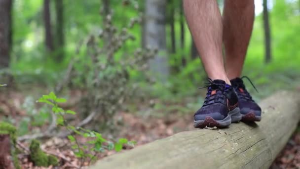 Gros Plan Baskets Noires Sur Firewood Man Chaussures Dans Forêt — Video
