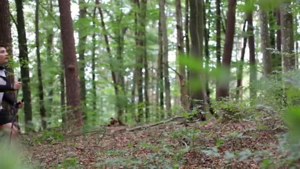 Junger Mann Genießt Nordic Walking Schönen Herbst Sportkleidung Rucksack Wald — Stockvideo