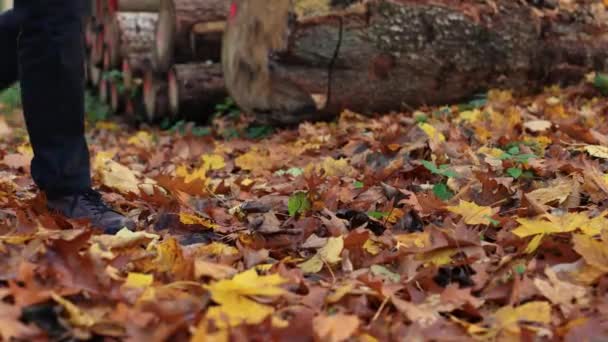 Nogi Ziemi Spowolnione Wideo Jesienno Żółte Liście Stopy Męskie Klasycznych — Wideo stockowe
