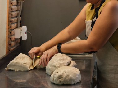 Manzarayı kapat. Ev yapımı hamur mayası hamur mayası çiğ ekmek 