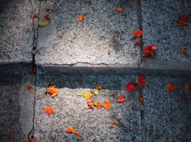 Tuğla zeminde tropik çiçekler. Eski izlerle birlikte. Metin için boşluk