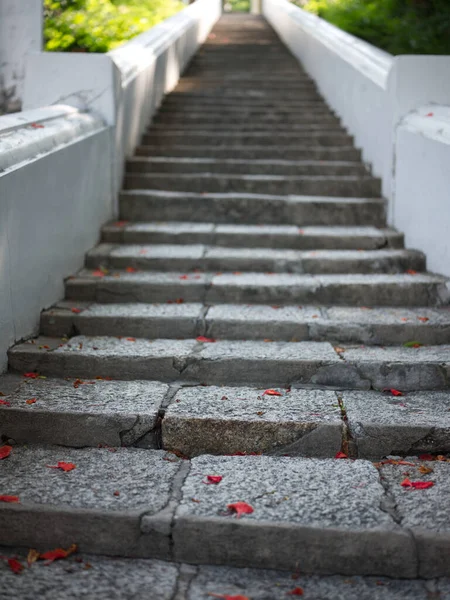 Flores Tropicales Piso Escaleras Ladrillo Del Templo Con Rastros Viejos —  Fotos de Stock