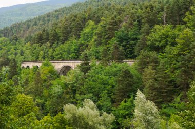 Ağaçların arasındaki ağaçlık yamaçta, Fransa 'nın güney Alplerinde yemyeşil bir bölge olan Alpes-de-Haute-Provence' ın güzel orman manzarasında bir dağ yolunu destekleyen, kayalık bir köprü inşa edildi.