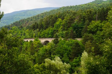 Ağaçların arasındaki ağaçlık yamaçta, Fransa 'nın güney Alplerinde yemyeşil bir bölge olan Alpes-de-Haute-Provence' ın güzel orman manzarasında bir dağ yolunu destekleyen, kayalık bir köprü inşa edildi.