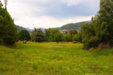 Fransa 'nın Alpes-de-Haute-Provence bölgesindeki Güney Alp Dağları' nın ormanlık yamaçlarında Provenal Ormanı 'nın ağaçlarıyla çevrili bir çim çayırına ev sahipliği yapan güzel yeşil kırsal alan.